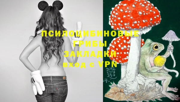 твердый Алзамай
